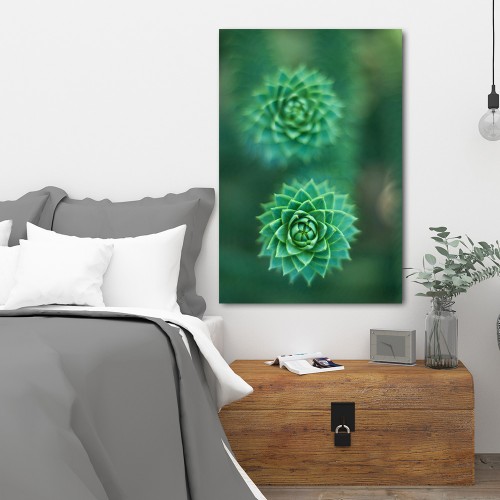 Decorative frame on canvas cactus