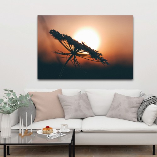 Decorative frame on canvas achillia in the sun