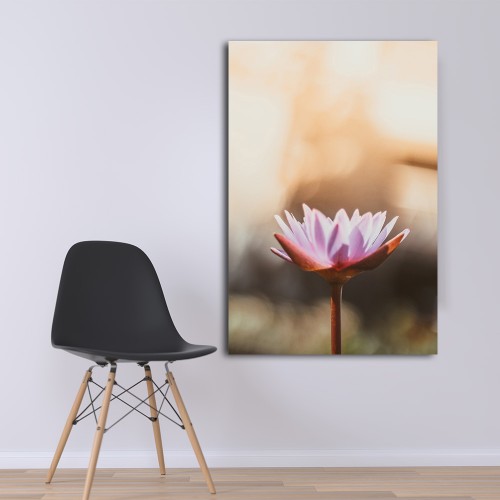 Decorative frame on canvas lotus