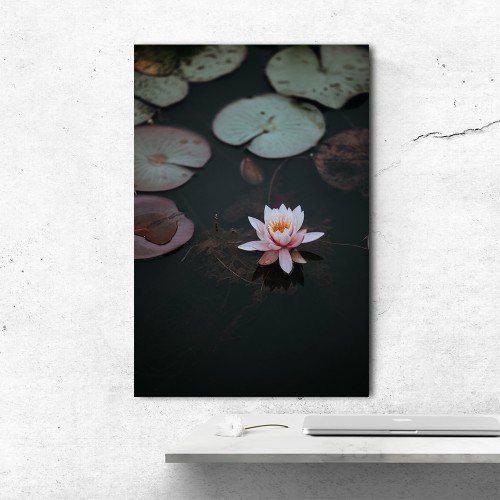 Decorative frame on canvas lotus 2