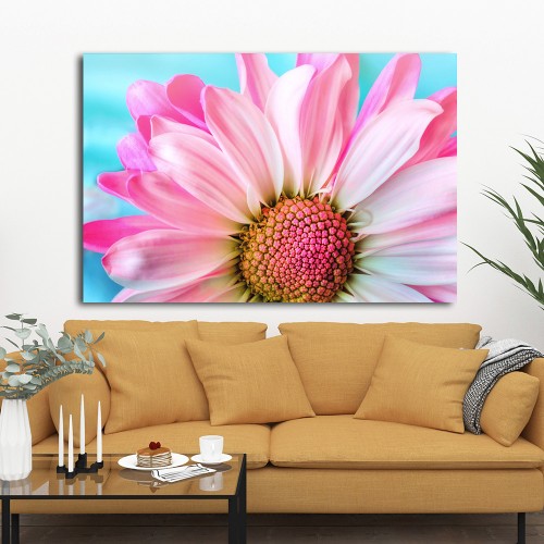 Decorative frame on canvas daisy