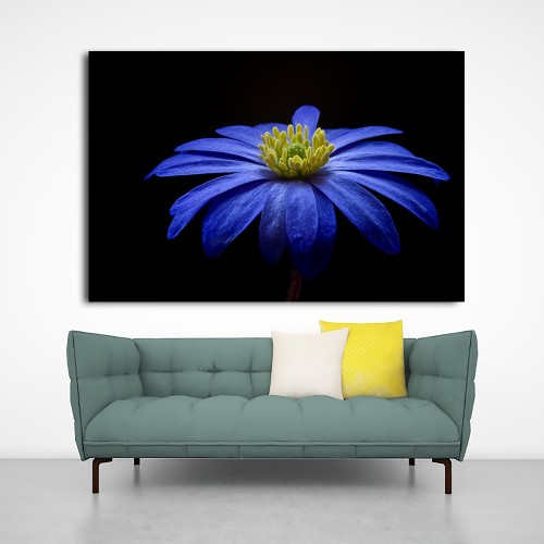 Decorative frame on canvas flower 2