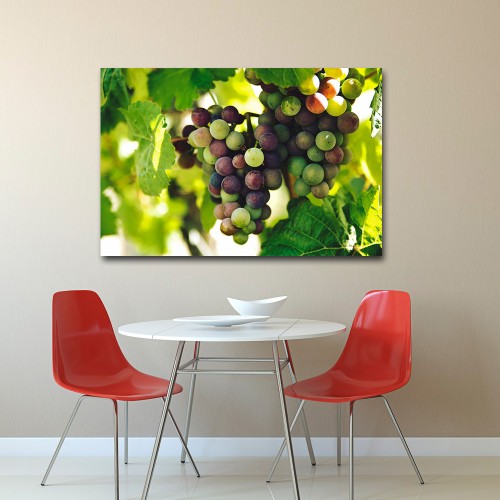 Decorative frame on canvas grapes