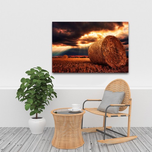 Decorative frame on canvas Nature wheat