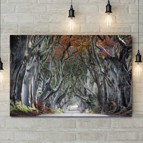 Decorative frame on canvas old forest