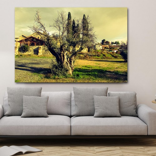 Decorative frame on canvas olive tree
