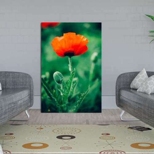 Decorative frame on canvas poppy red