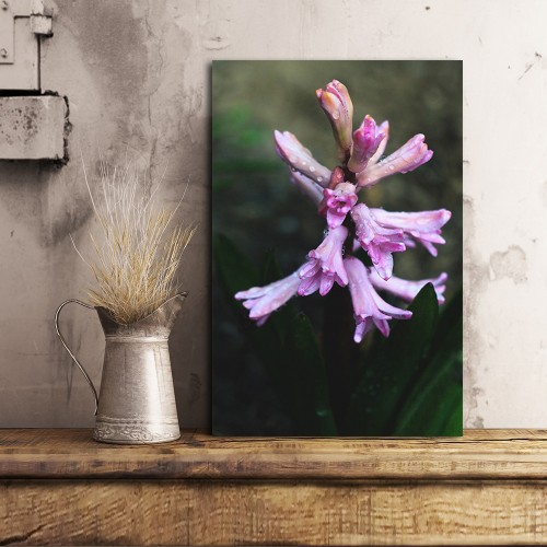 Decorative frame on canvas purple flower