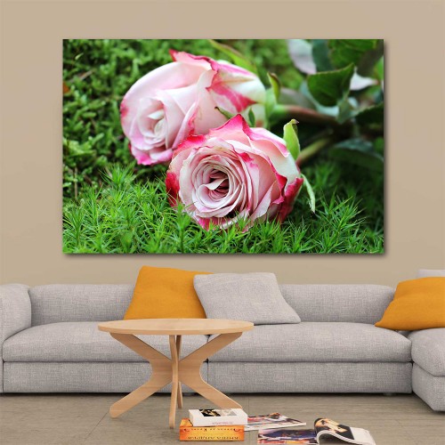 Decorative frame on canvas roses
