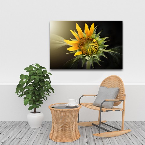 Decorative frame on canvas sunflower