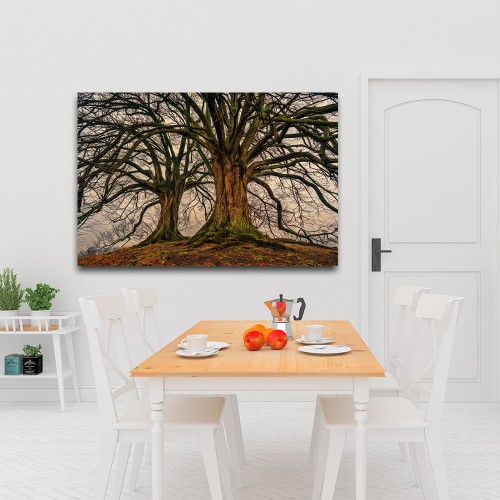Decorative frame on canvas trees